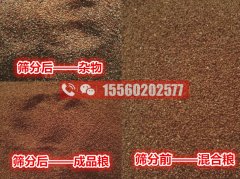 海藻籽里面的雜物應該用啥機器清除?海藻籽比重風選篩分機